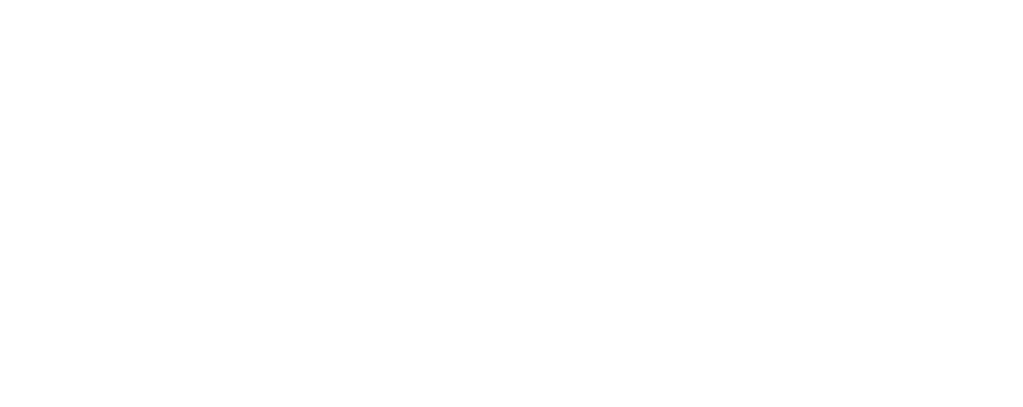 Leuven-logo-white